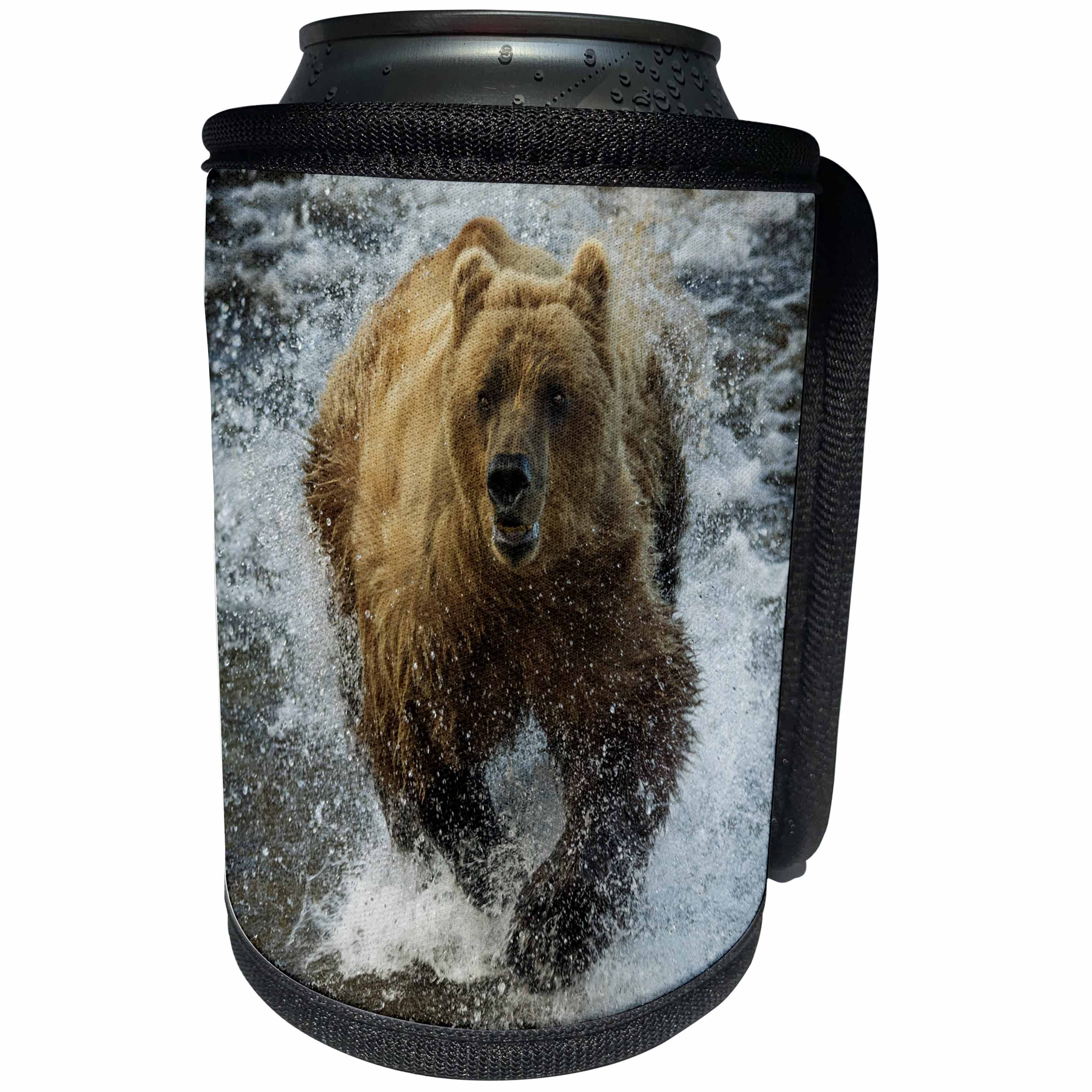 3dRose Danita Delimont - Bears - Brown bear fishing, Katmai National Park, Alaska, USA - Can Cooler Bottle Wrap (cc_278328)