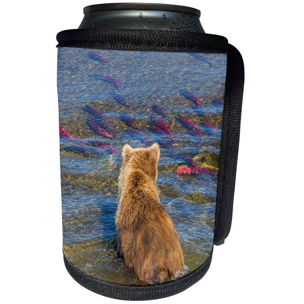 3dRose Danita Delimont - Bears - Brown bear fishing in shallow waters, Katmai NP, Alaska, USA - Can Cooler Bottle Wrap (cc_278329)