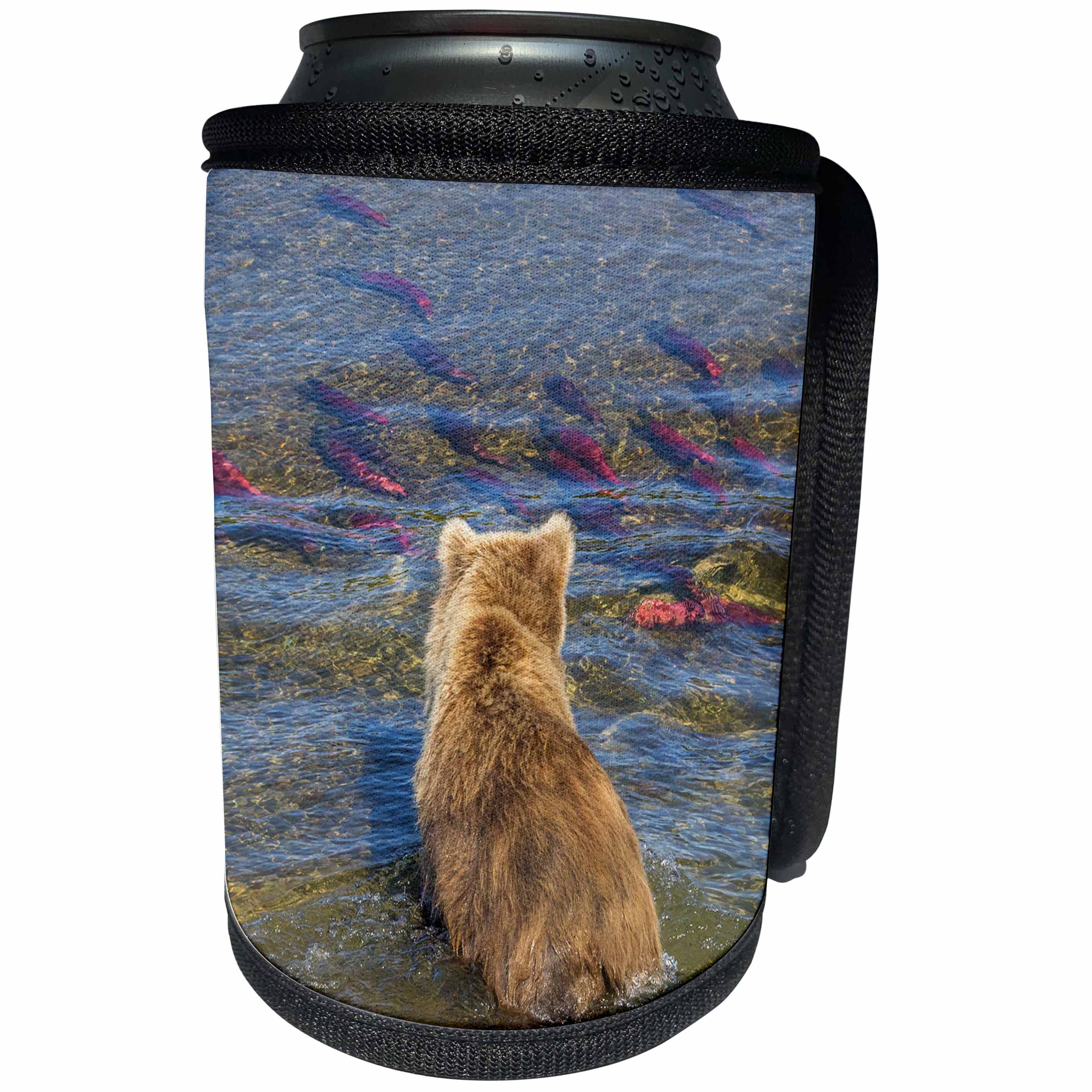 3dRose Danita Delimont - Bears - Brown bear fishing in shallow waters, Katmai NP, Alaska, USA - Can Cooler Bottle Wrap (cc_278329)