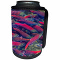 3dRose Danita Delimont - Fish - Migrating sockeye salmon, Katmai National Park, Alaska, USA - Can Cooler Bottle Wrap (cc_278330)