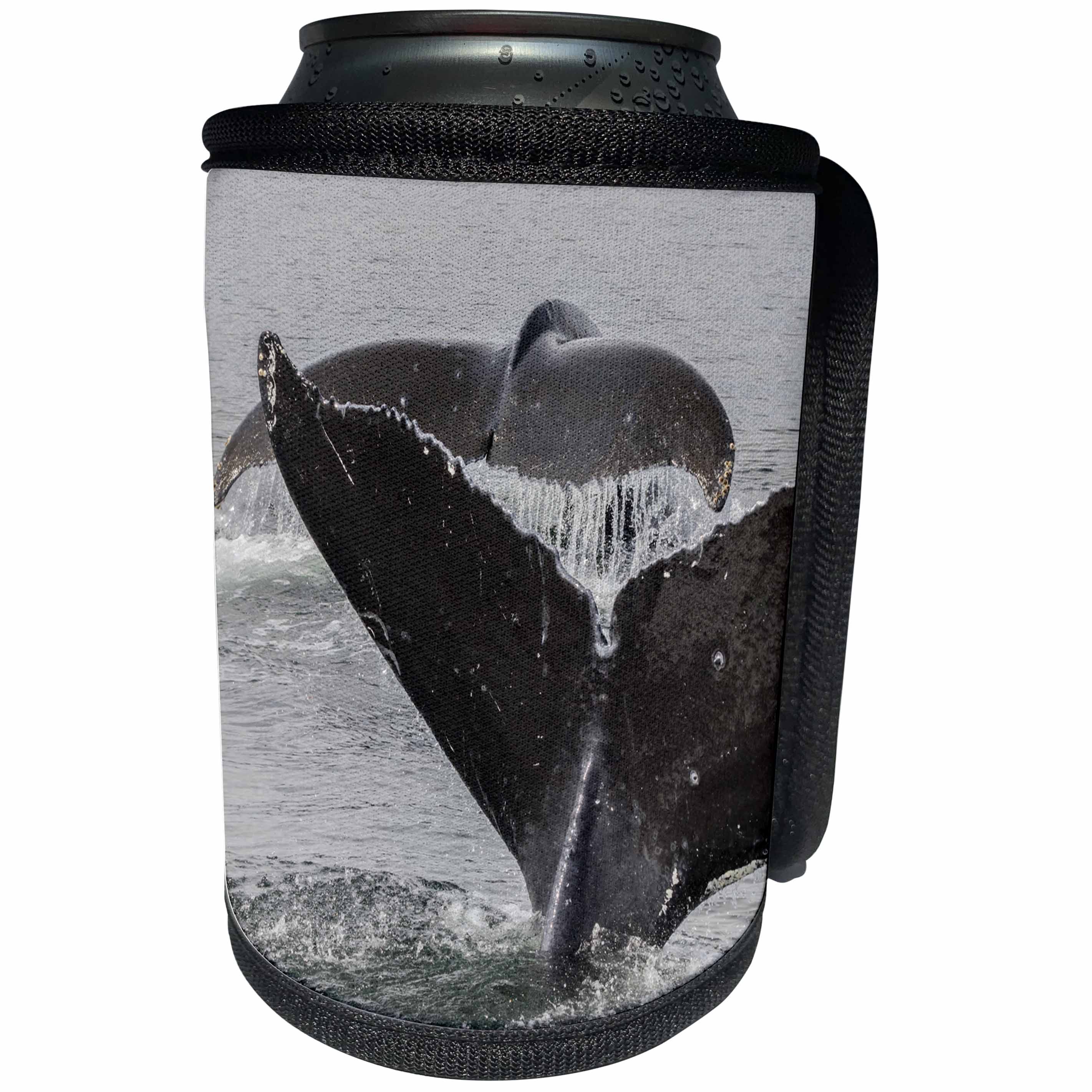 3dRose Danita Delimont - Whales - USA, Alaska, Tongass National Forest. Humpback whales diving. - Can Cooler Bottle Wrap (cc_278333)