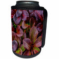 3dRose Danita Delimont - Autumn - USA, Alaska. Close up of alpine bearberry plants. - Can Cooler Bottle Wrap (cc_278336)
