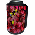 3dRose Danita Delimont - Autumn - USA, Alaska. Alpine bearberry and crowberry plants in autumn color. - Can Cooler Bottle Wrap (cc_278337)