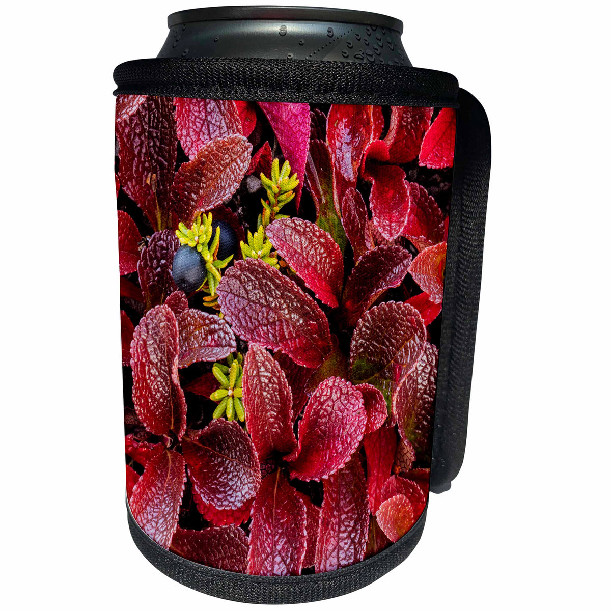 3dRose Danita Delimont - Autumn - USA, Alaska. Alpine bearberry and crowberry plants in autumn color. - Can Cooler Bottle Wrap (cc_278337)