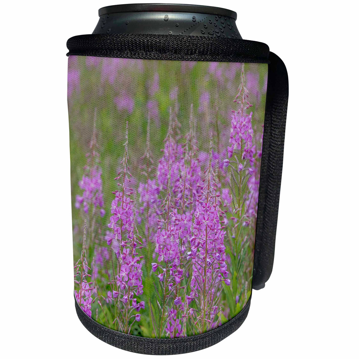 3dRose Danita Delimont - Flowers - USA, Alaska, Valdez. Field of fireweed flowers. - Can Cooler Bottle Wrap (cc_278340)