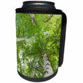 3dRose Danita Delimont - Forests - USA, Alaska. Paper birch trees. - Can Cooler Bottle Wrap (cc_278345)