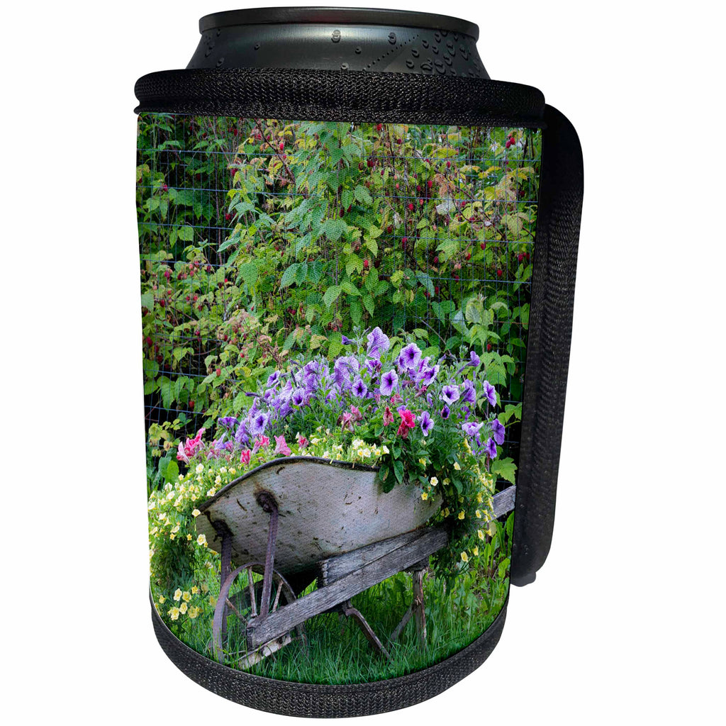 3dRose Danita Delimont - Gardens - USA, Alaska, Chena Hot Springs. Old wheelbarrow with flowers. - Can Cooler Bottle Wrap (cc_278347)
