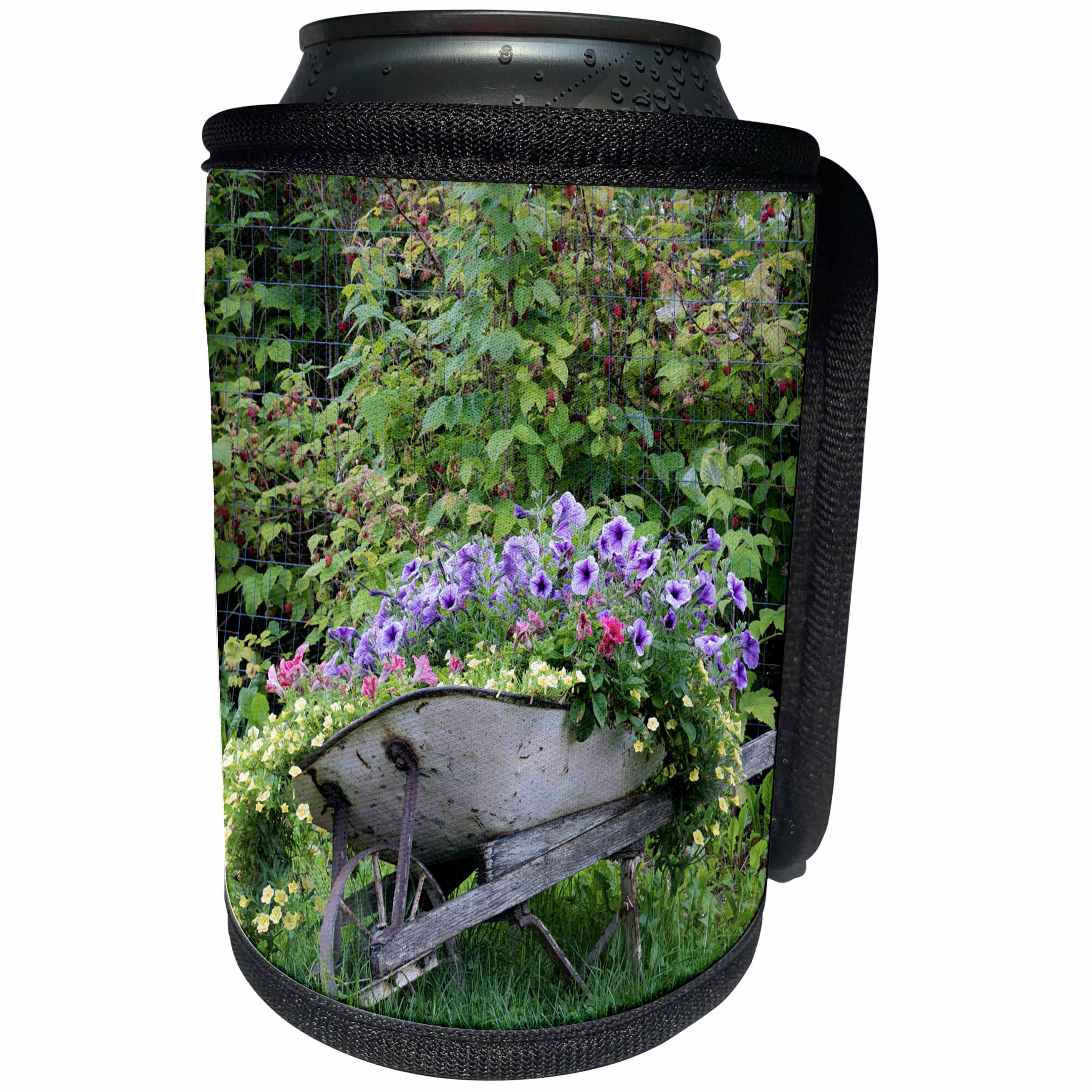 3dRose Danita Delimont - Gardens - USA, Alaska, Chena Hot Springs. Old wheelbarrow with flowers. - Can Cooler Bottle Wrap (cc_278347)
