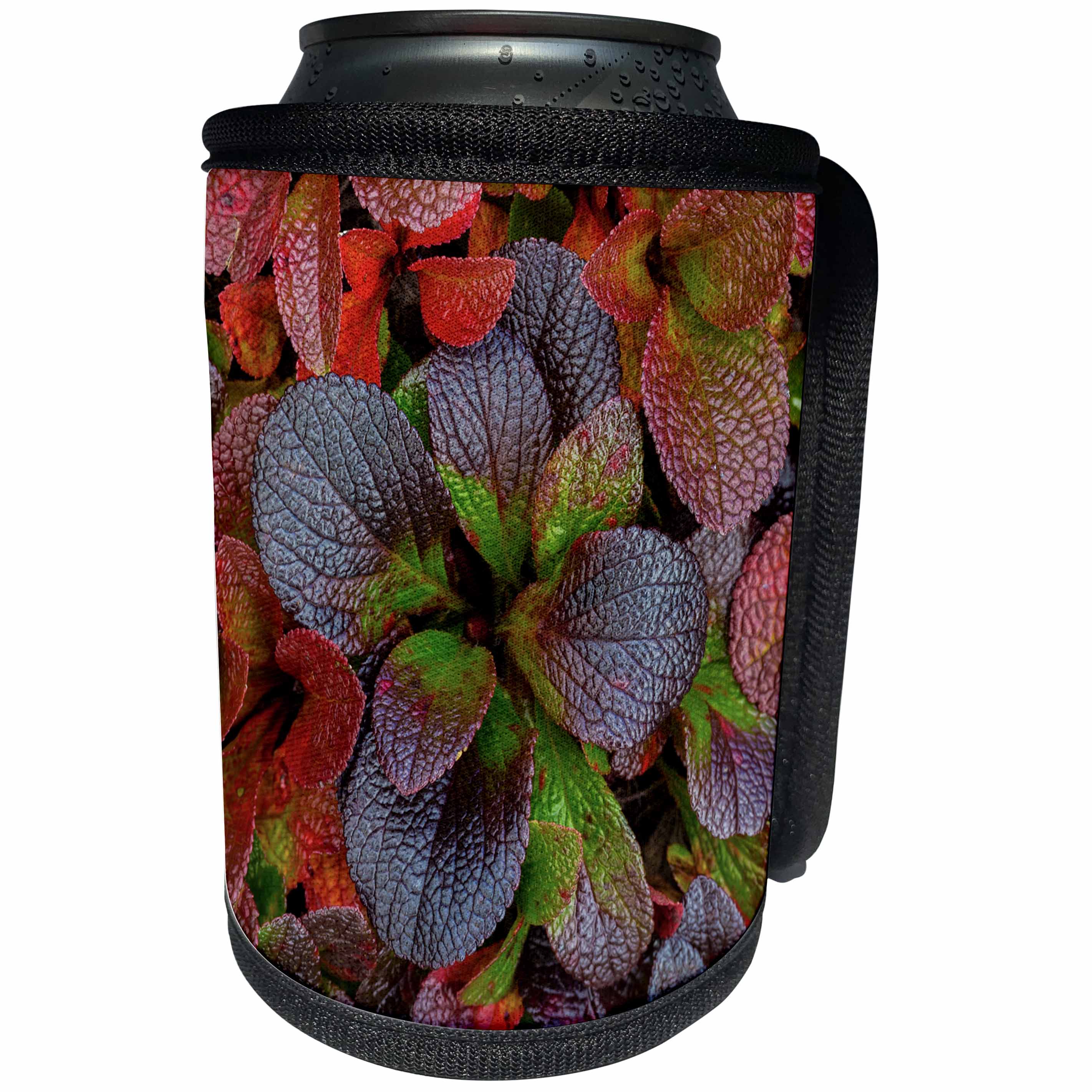 3dRose Danita Delimont - Autumn - USA, Alaska. Alpine bearberry leaves. - Can Cooler Bottle Wrap (cc_278351)