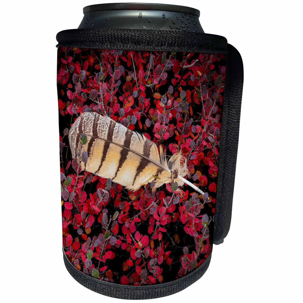 3dRose Danita Delimont - Still life - USA, Alaska, Brooks Range. Owl feather caught in dwarf birch leaves. - Can Cooler Bottle Wrap (cc_278353)