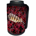 3dRose Danita Delimont - Still life - USA, Alaska, Brooks Range. Owl feather caught in dwarf birch leaves. - Can Cooler Bottle Wrap (cc_278353)