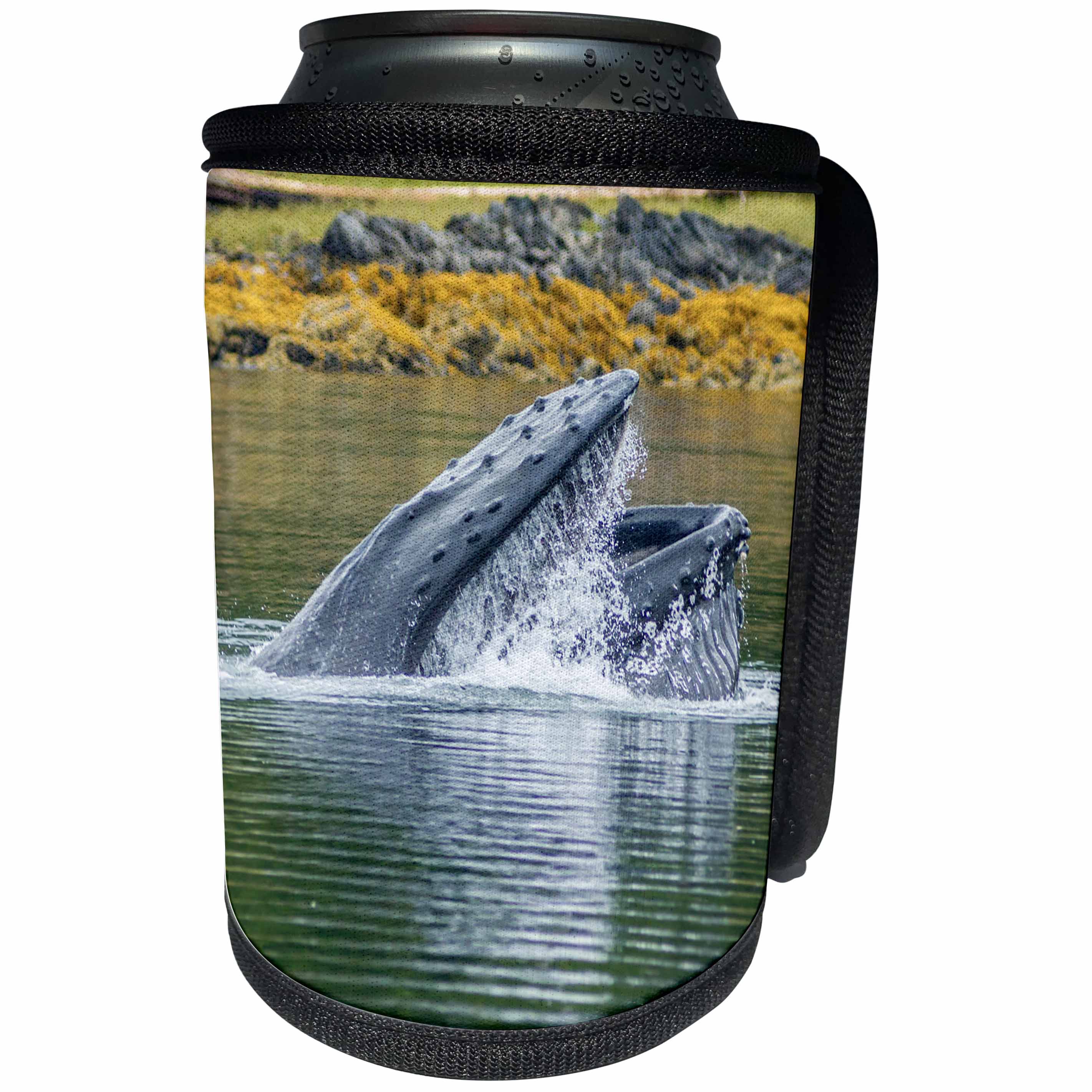 3dRose Danita Delimont - Whales - USA, Alaska, Tongass National Forest. Humpback whale lunge feeds. - Can Cooler Bottle Wrap (cc_278363)