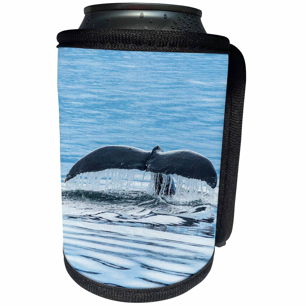 3dRose Danita Delimont - Whales - USA, Alaska, Tongass National Forest. Humpback whale diving. - Can Cooler Bottle Wrap (cc_278364)