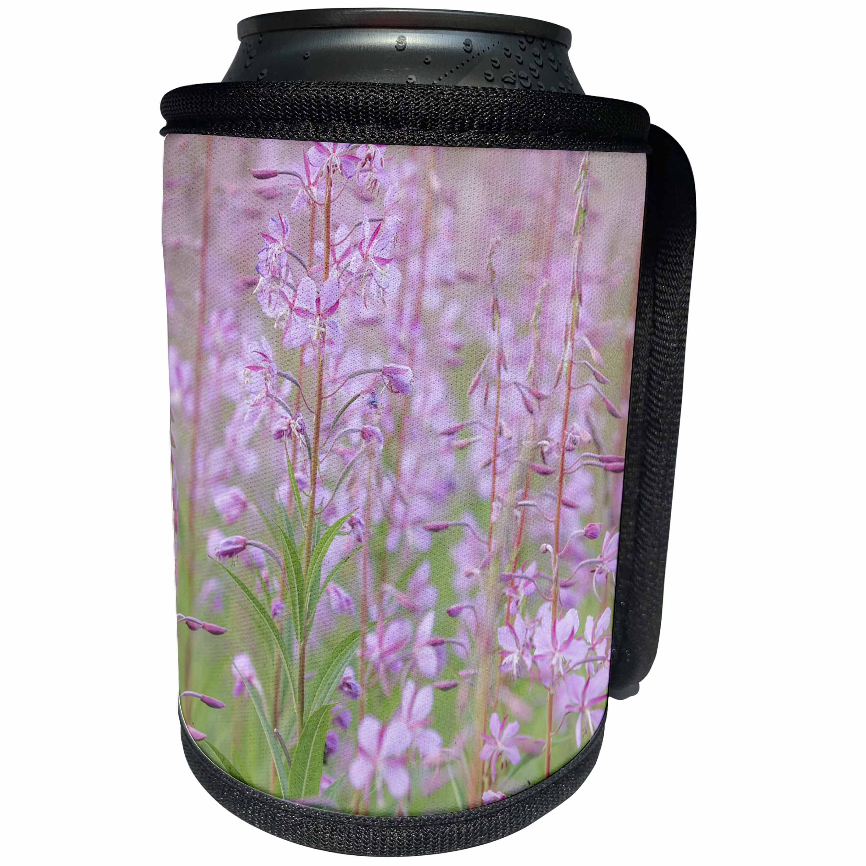 3dRose Danita Delimont - Flowers - USA, Alaska, Valdez. Delicate pink fireweed flowers. - Can Cooler Bottle Wrap (cc_278365)