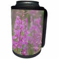 3dRose Danita Delimont - Flowers - USA, Alaska, Valdez. Close up of fireweed flowers. - Can Cooler Bottle Wrap (cc_278366)