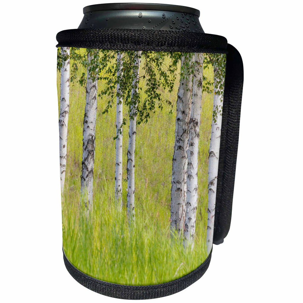 3dRose Danita Delimont - Forests - USA, Alaska. Paper birch trees and grass. - Can Cooler Bottle Wrap (cc_278373)