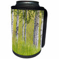 3dRose Danita Delimont - Forests - USA, Alaska. Paper birch trees and grass. - Can Cooler Bottle Wrap (cc_278373)