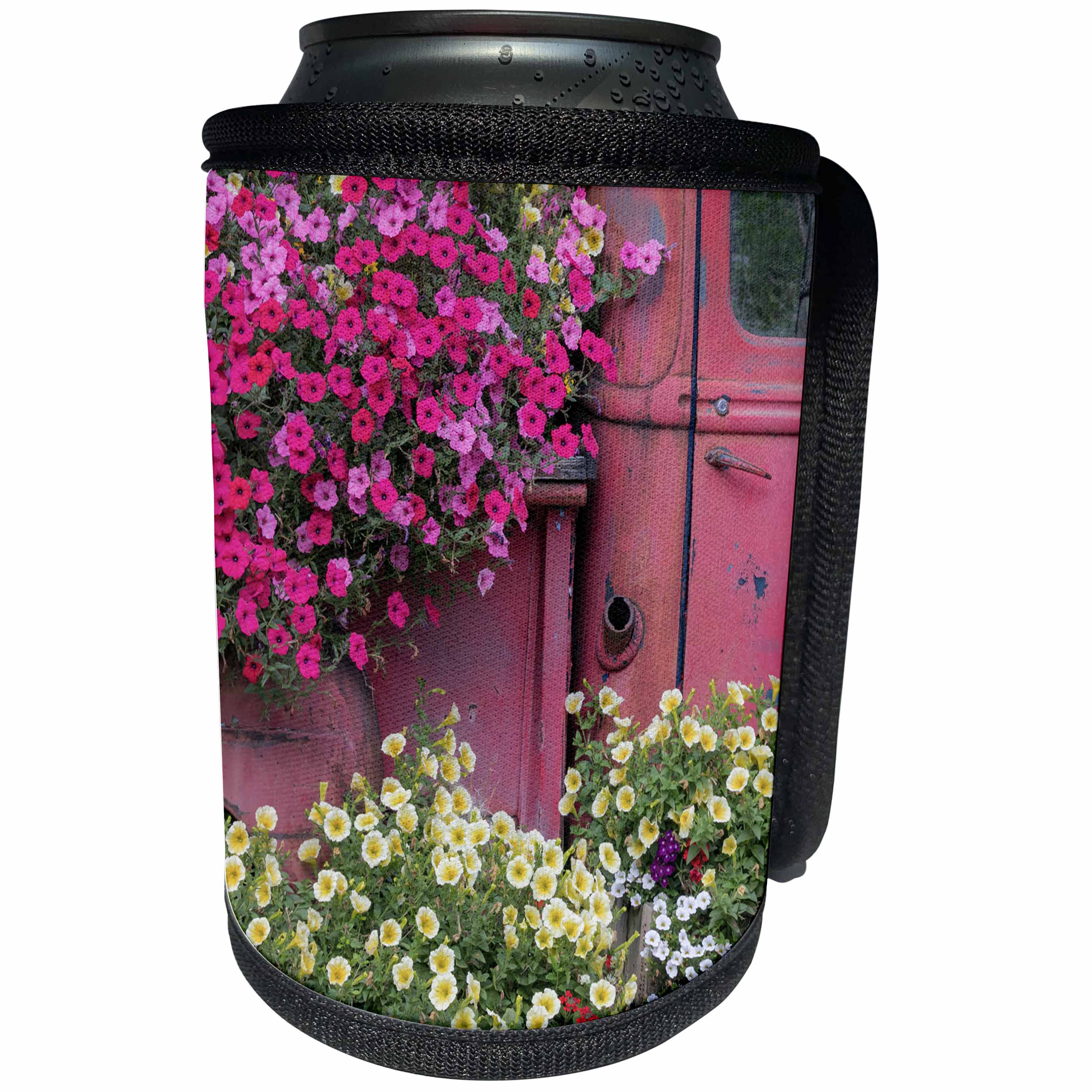 3dRose Danita Delimont - Gardens - USA, Alaska, Chena Hot Springs. Panorama of old truck and flowers. - Can Cooler Bottle Wrap (cc_278374)