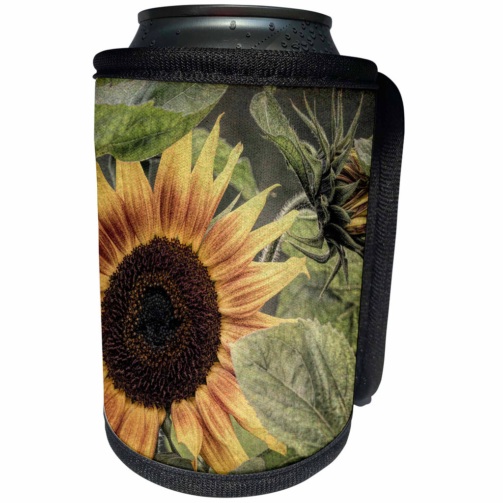 3dRose Danita Delimont - Flowers - USA, Alaska, Chena Hot Springs. Close up of sunflower plant. - Can Cooler Bottle Wrap (cc_278377)