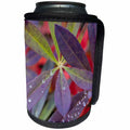 3dRose Danita Delimont - Autumn - USA, Alaska, Brooks Range. Dewdrops on lupine leaves. - Can Cooler Bottle Wrap (cc_278382)