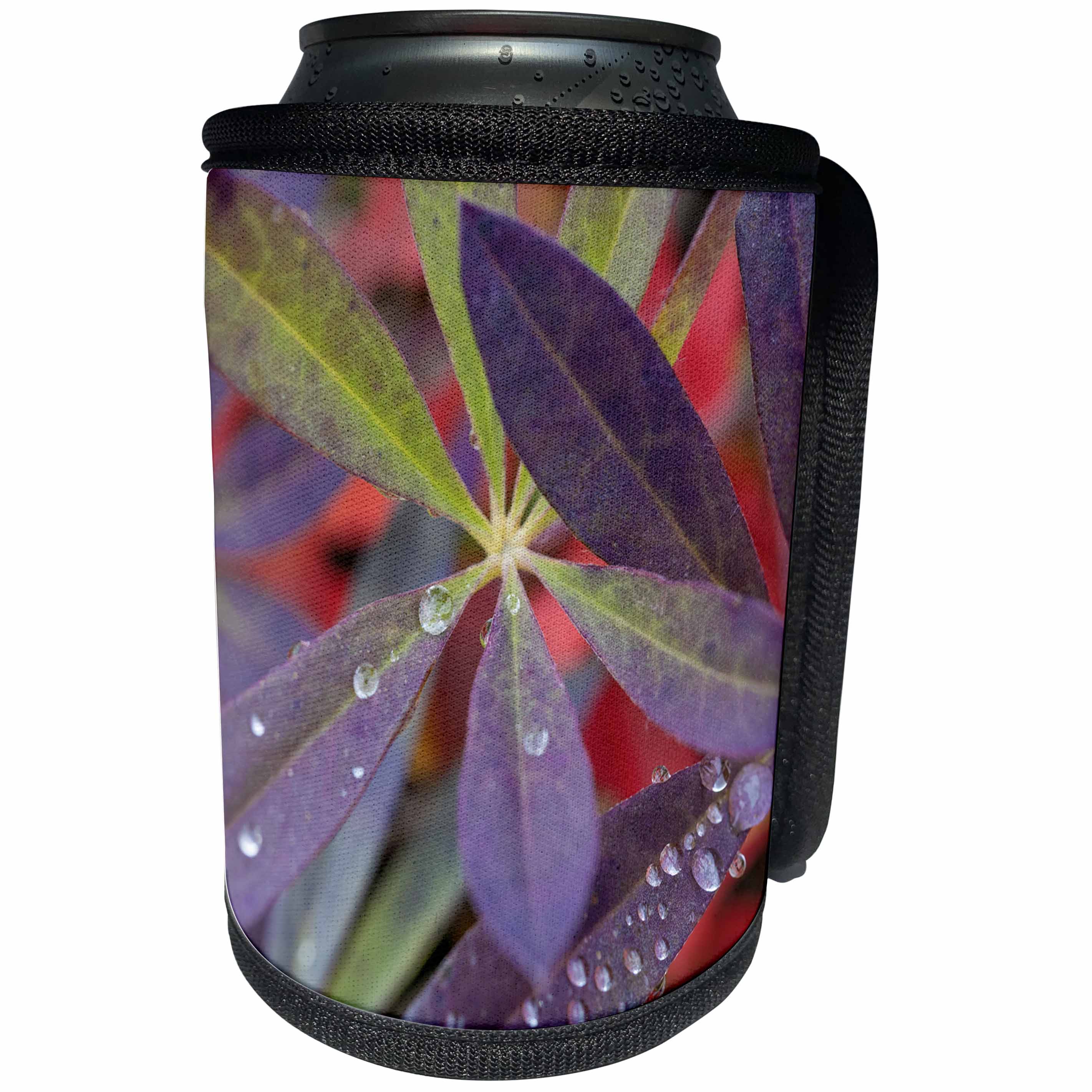 3dRose Danita Delimont - Autumn - USA, Alaska, Brooks Range. Dewdrops on lupine leaves. - Can Cooler Bottle Wrap (cc_278382)