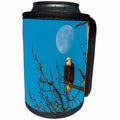 3dRose Danita Delimont - Eagles - USA, Alaska, Chilkat Bald Eagle Preserve, bald eagle adult and moon - Can Cooler Bottle Wrap (cc_278393)