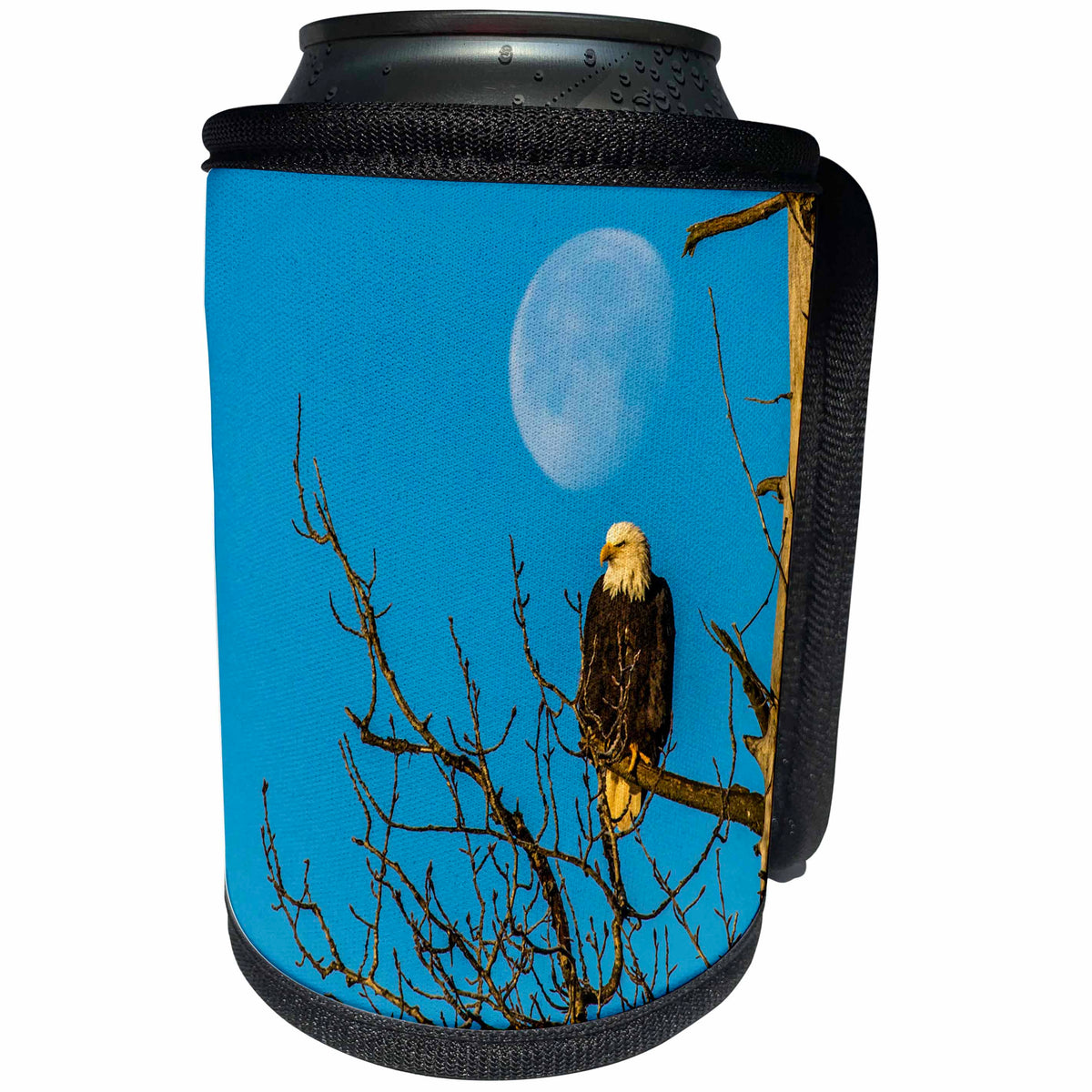 3dRose Danita Delimont - Eagles - USA, Alaska, Chilkat Bald Eagle Preserve, bald eagle adult and moon - Can Cooler Bottle Wrap (cc_278393)
