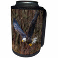 3dRose Danita Delimont - Eagles - USA, Alaska, Chilkat Bald Eagle Preserve, bald eagle adult flying - Can Cooler Bottle Wrap (cc_278394)