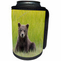 3dRose Danita Delimont - Bears - Alaska. Grizzly bear cub sits in a meadow in Lake Clark NP. - Can Cooler Bottle Wrap (cc_278398)