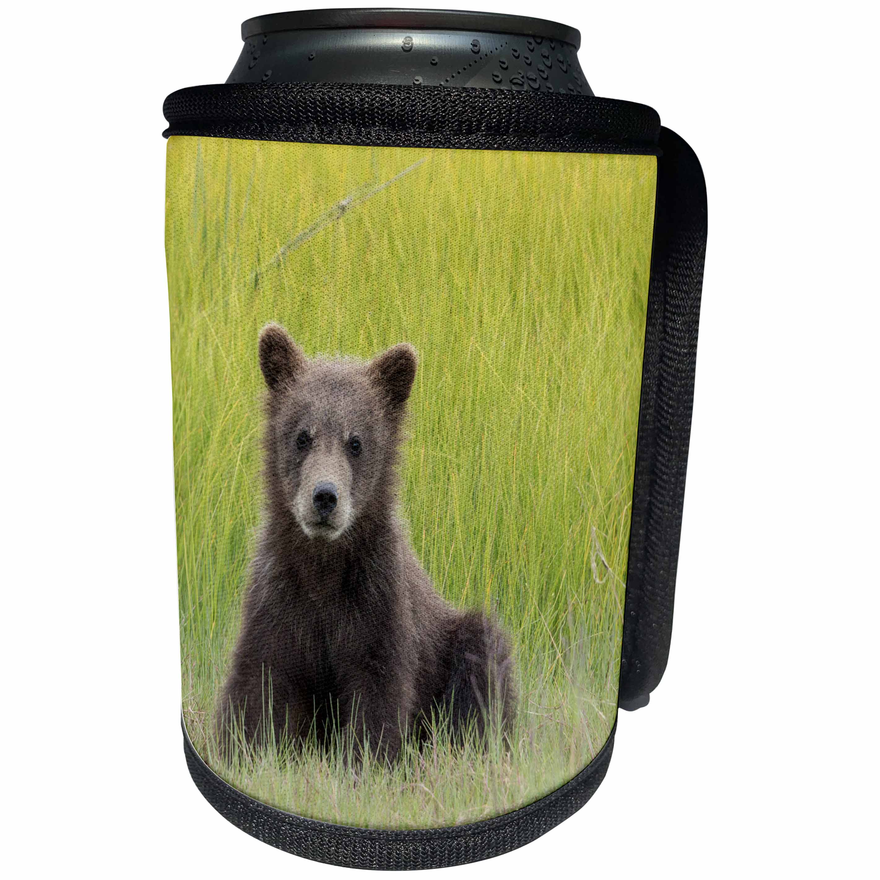 3dRose Danita Delimont - Bears - Alaska. Grizzly bear cub sits in a meadow in Lake Clark NP. - Can Cooler Bottle Wrap (cc_278398)