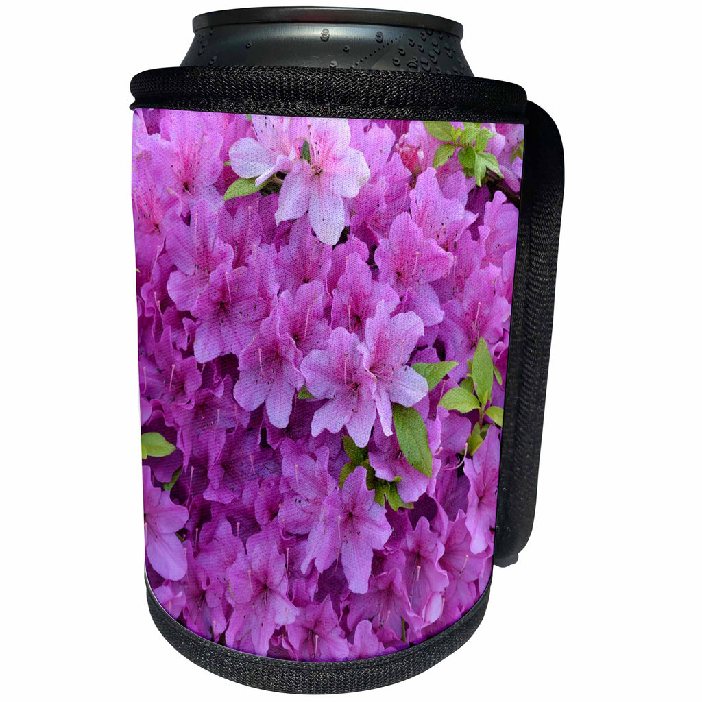 3dRose Patricia Sanders Flowers - Pink Flowers - Can Cooler Bottle Wrap (cc_27840)