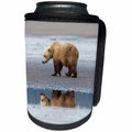 3dRose Danita Delimont - Bears - Coastal Grizzly bear walks along mud flats, Lake Clark NP, Alaska. - Can Cooler Bottle Wrap (cc_278400)
