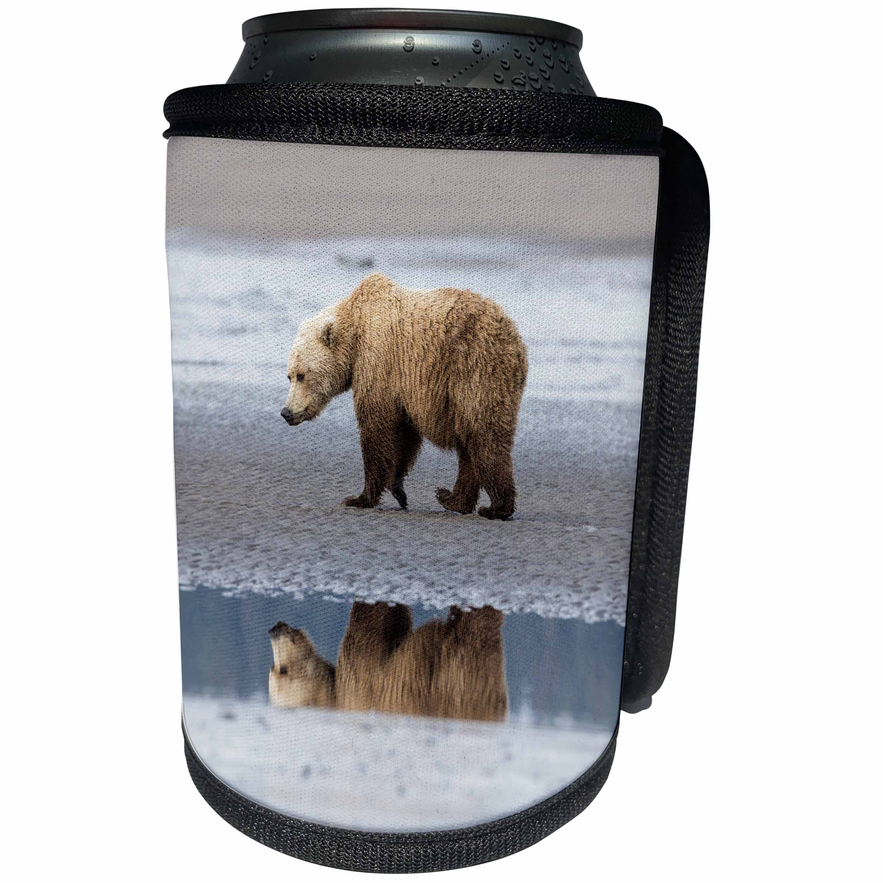 3dRose Danita Delimont - Bears - Coastal Grizzly bear walks along mud flats, Lake Clark NP, Alaska. - Can Cooler Bottle Wrap (cc_278400)