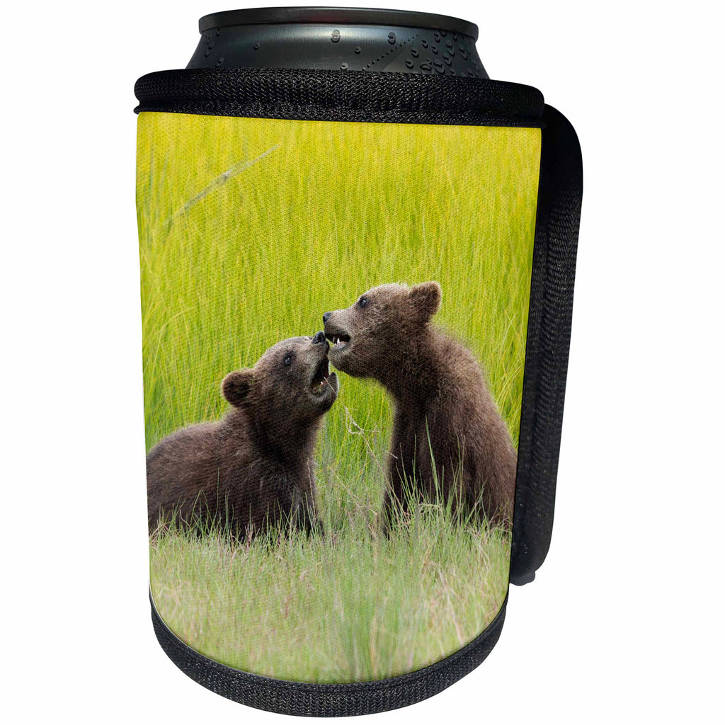 3dRose Danita Delimont - Baby animals - Grizzly bear cubs, Ursus Arctos, playfighting in a meadow. - Can Cooler Bottle Wrap (cc_278402)