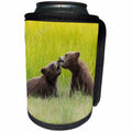3dRose Danita Delimont - Baby animals - Grizzly bear cubs, Ursus Arctos, playfighting in a meadow. - Can Cooler Bottle Wrap (cc_278402)