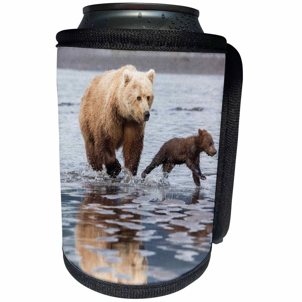 3dRose Danita Delimont - Baby animals - Coastal Grizzly bear mother and cubs running, Lake Clark NP, Alaska. - Can Cooler Bottle Wrap (cc_278403)