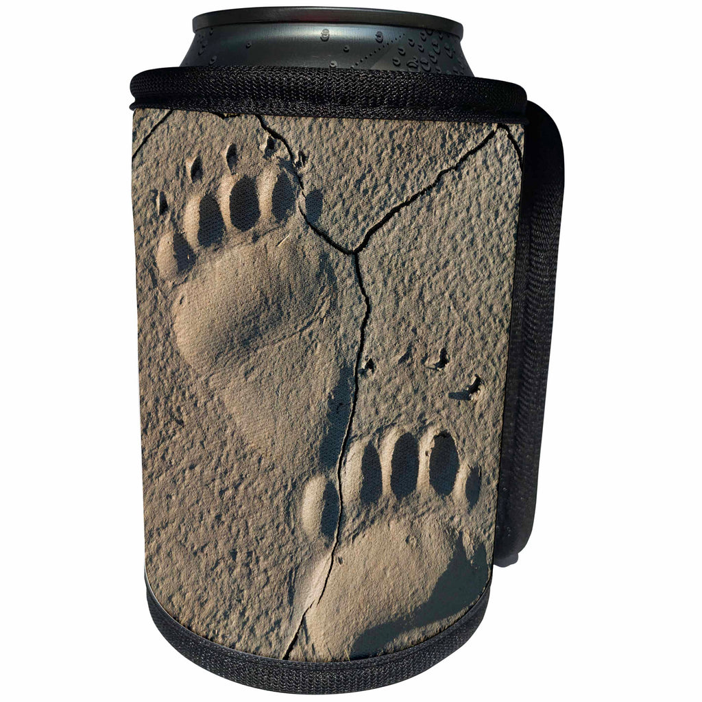 3dRose Danita Delimont - Bears - Footprints of adult coastal grizzly bear, Lake Clark NP, Alaska. - Can Cooler Bottle Wrap (cc_278404)
