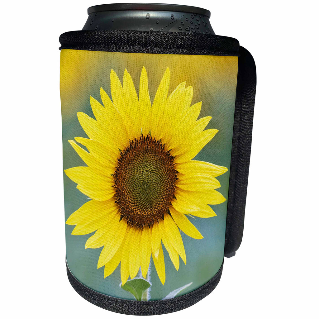 3dRose Danita Delimont - Flowers - USA, California, Napa Valley. Close up of sunflower. - Can Cooler Bottle Wrap (cc_278514)