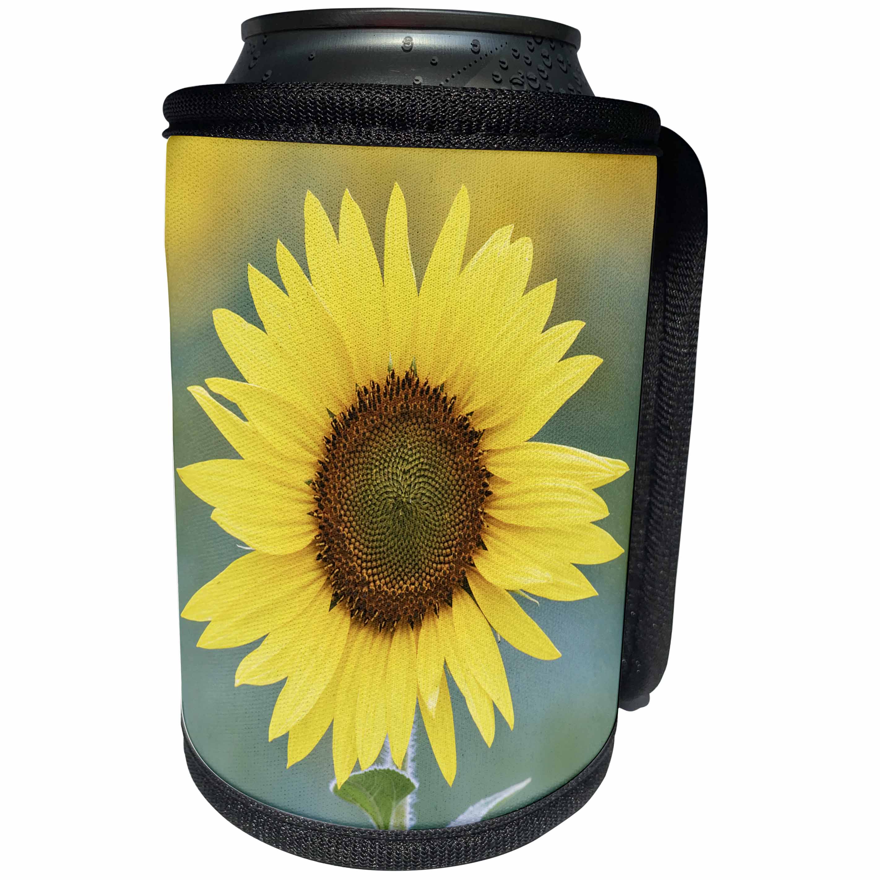 3dRose Danita Delimont - Flowers - USA, California, Napa Valley. Close up of sunflower. - Can Cooler Bottle Wrap (cc_278514)