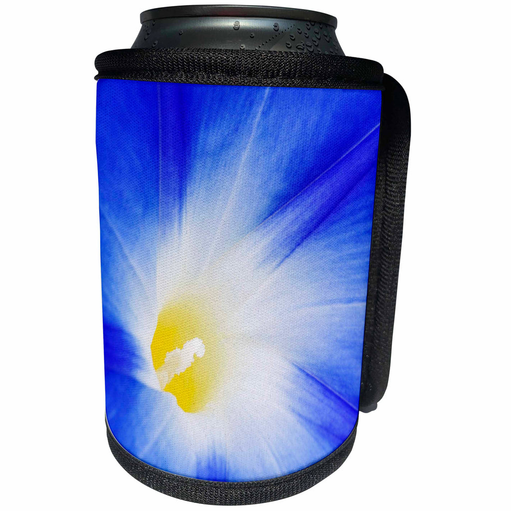 3dRose Danita Delimont - Flowers - USA, California, Owens Valley. Morning glory flower close up. - Can Cooler Bottle Wrap (cc_278515)