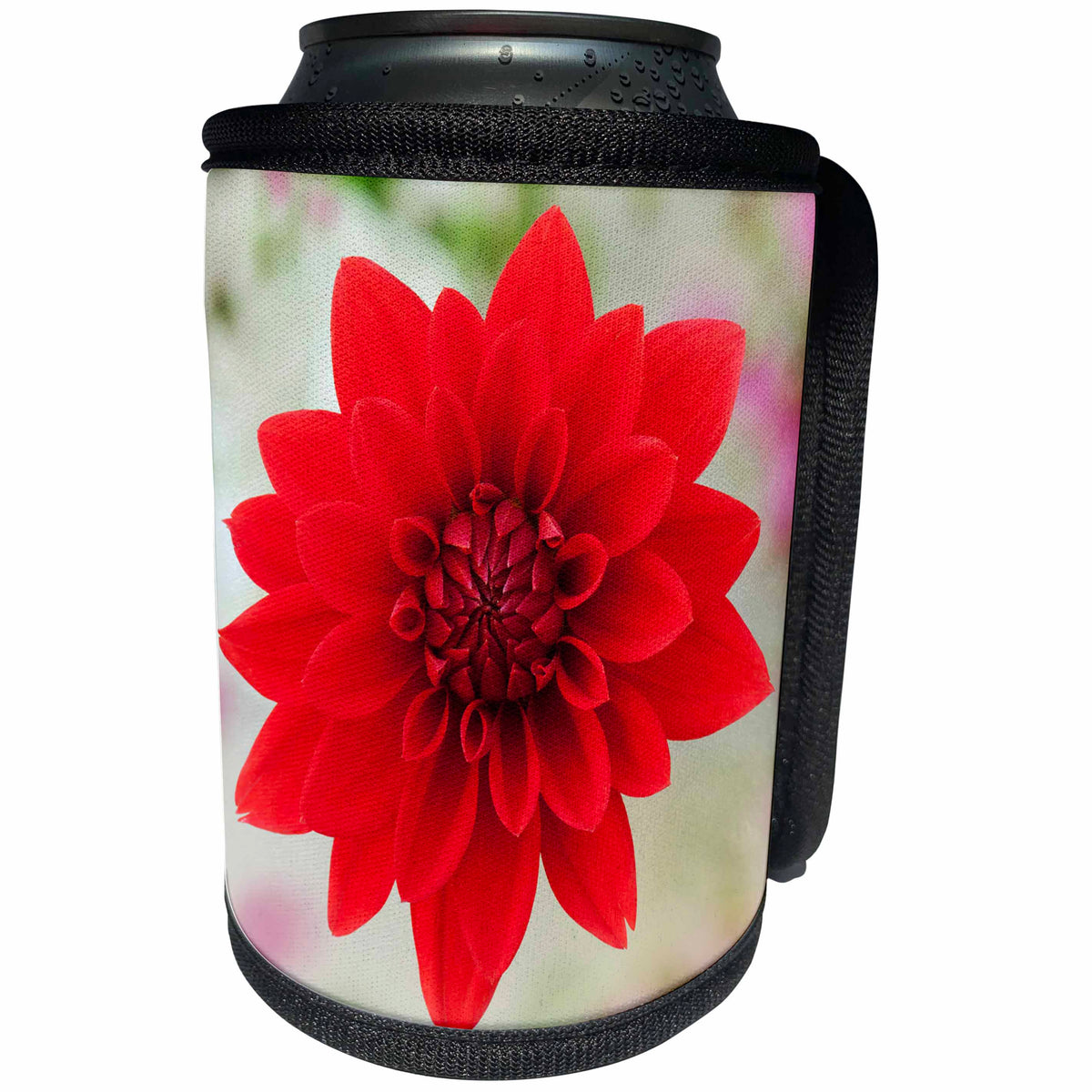 3dRose Danita Delimont - Flowers - USA, California. Red dahlia close up. - Can Cooler Bottle Wrap (cc_278516)