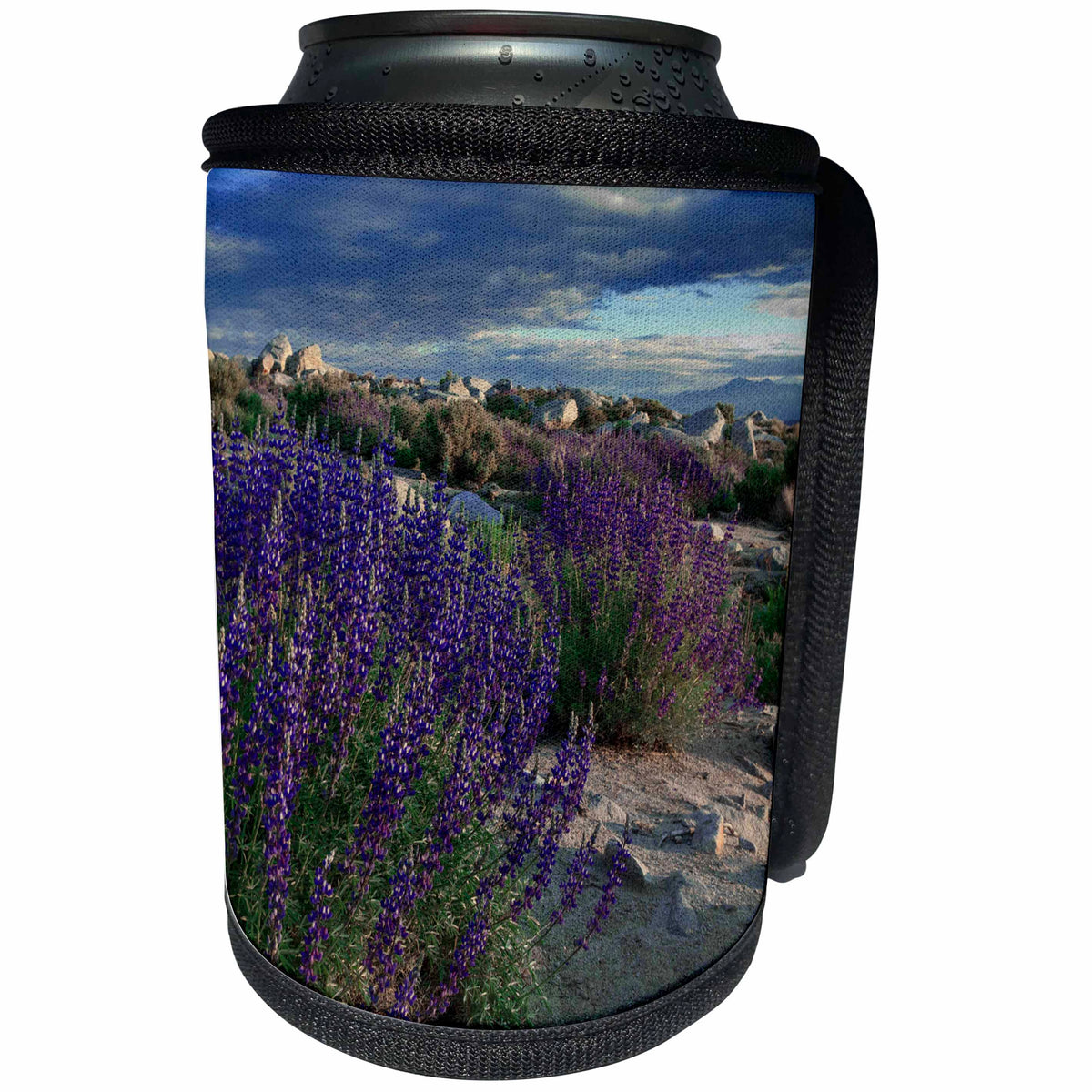 3dRose Danita Delimont - Flowers - USA, California, Sierra Nevada. Landscape with Inyo bush lupine. - Can Cooler Bottle Wrap (cc_278519)