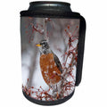 3dRose Danita Delimont - Songbirds - USA, California, Owens Valley. Robin on pear tree. - Can Cooler Bottle Wrap (cc_278529)