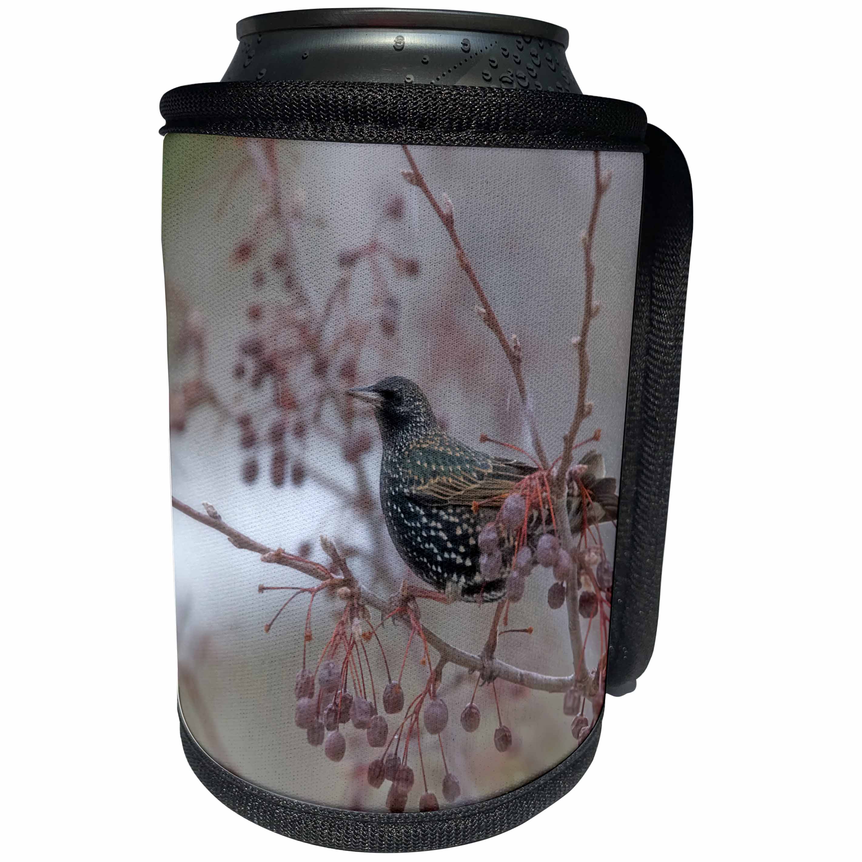 3dRose Danita Delimont - Songbirds - USA, California, Owens Valley. Water ouzel in a pear tree. - Can Cooler Bottle Wrap (cc_278534)