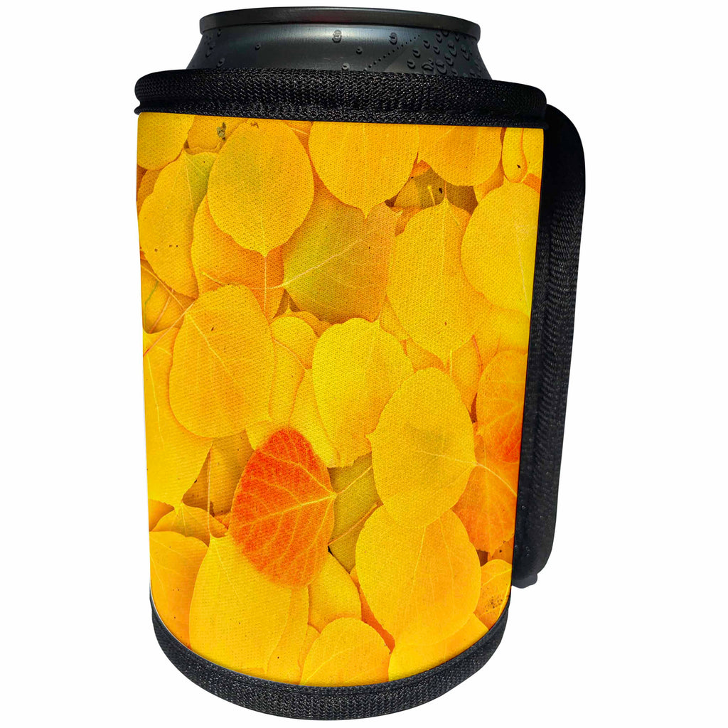 3dRose Danita Delimont - Autumn - USA, California, Sierra Nevada. Fallen aspen leaves close up. - Can Cooler Bottle Wrap (cc_278537)