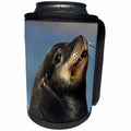 3dRose Danita Delimont - Seals - USA, California, La Jolla. Portrait of sea lion. - Can Cooler Bottle Wrap (cc_278549)