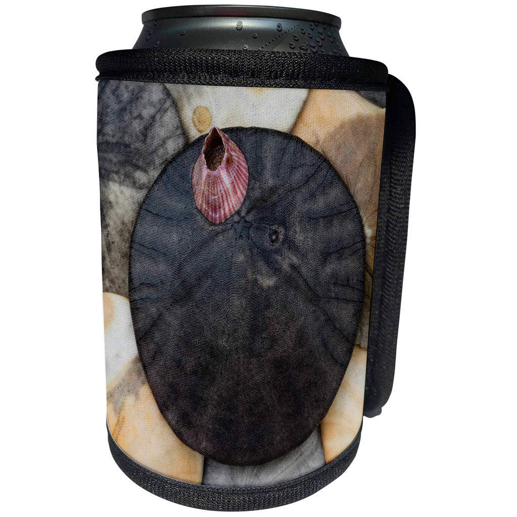3dRose Danita Delimont - Marine life - USA, California. Barnacle and sand dollars on beach. - Can Cooler Bottle Wrap (cc_278565)