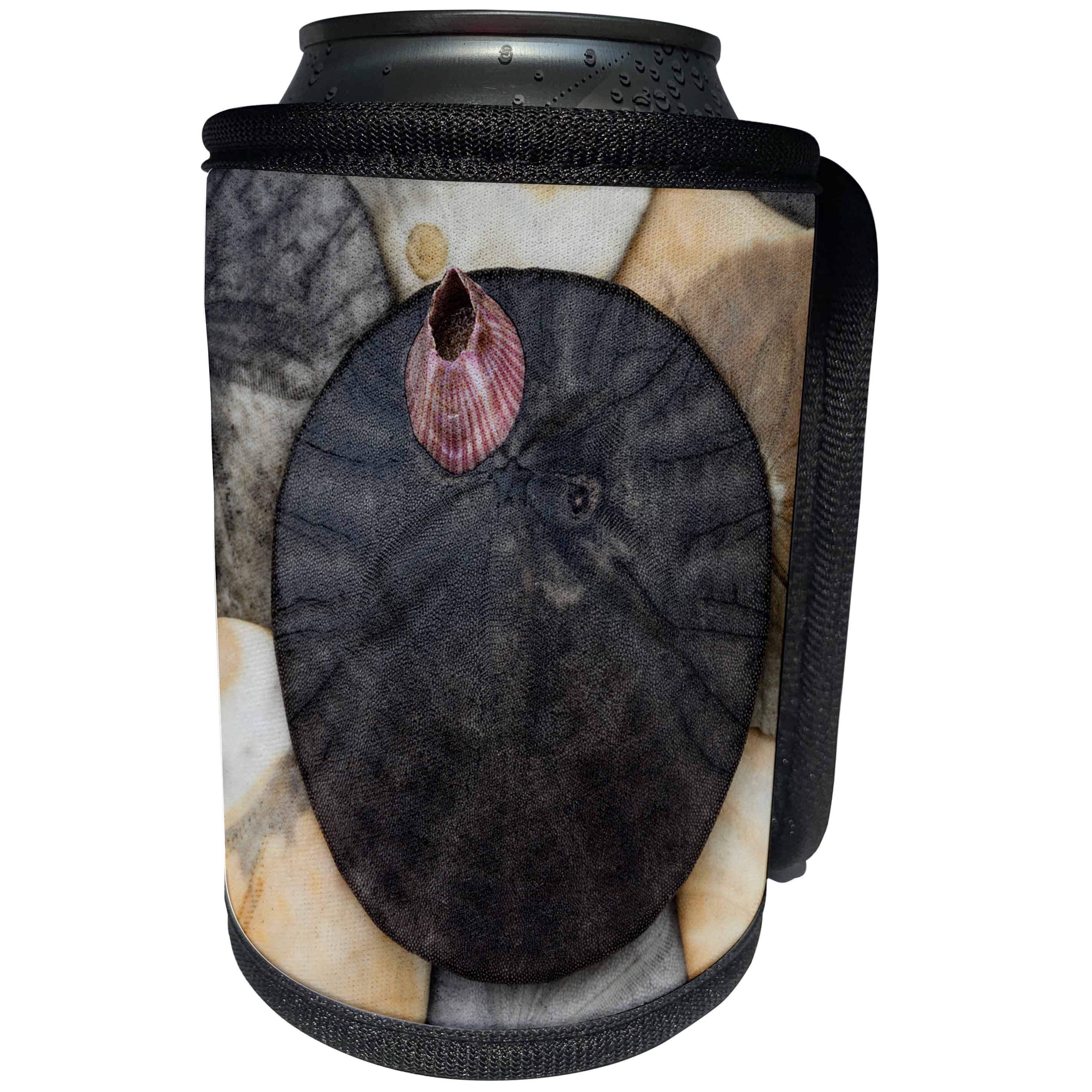 3dRose Danita Delimont - Marine life - USA, California. Barnacle and sand dollars on beach. - Can Cooler Bottle Wrap (cc_278565)