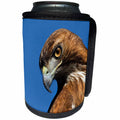 3dRose Danita Delimont - Hawks - USA, California. Red shouldered hawk portrait. - Can Cooler Bottle Wrap (cc_278575)