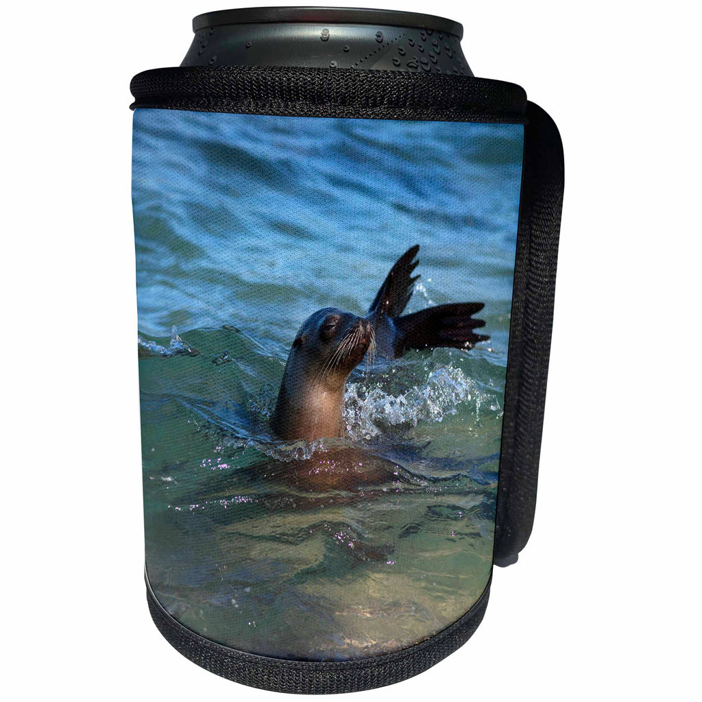 3dRose Danita Delimont - Seals - USA, California, La Jolla. Sea Lion in water. - Can Cooler Bottle Wrap (cc_278582)